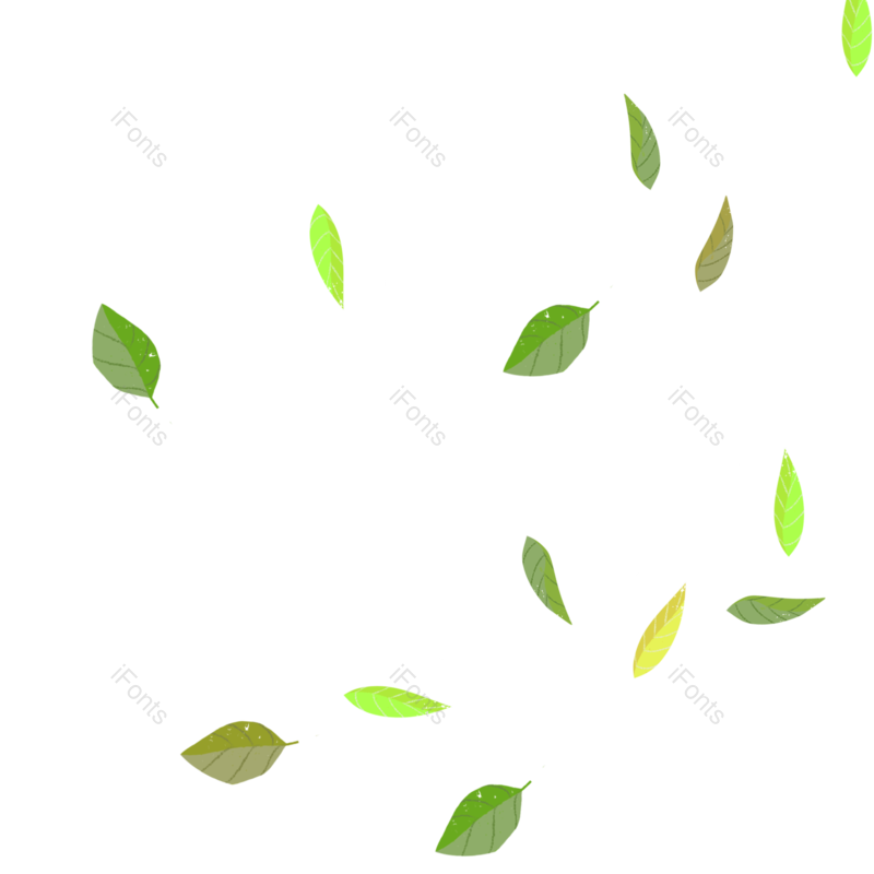 叶子图片,插画元素,树叶PNG,植物素材免抠素材